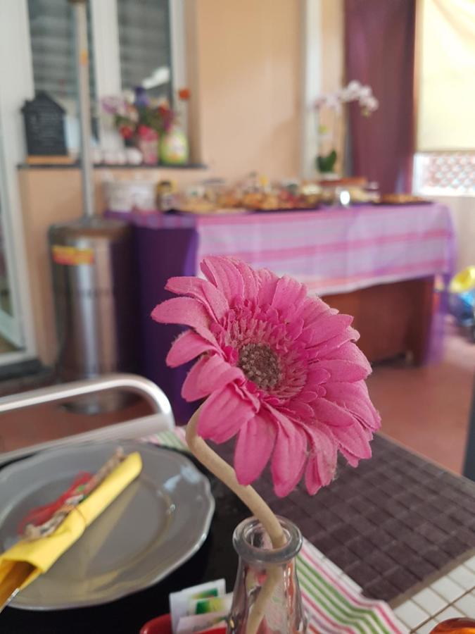 Ghiro Ghiotto Pietra Ligure Exterior foto