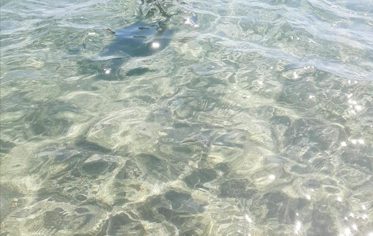 Ghiro Ghiotto Pietra Ligure Exterior foto